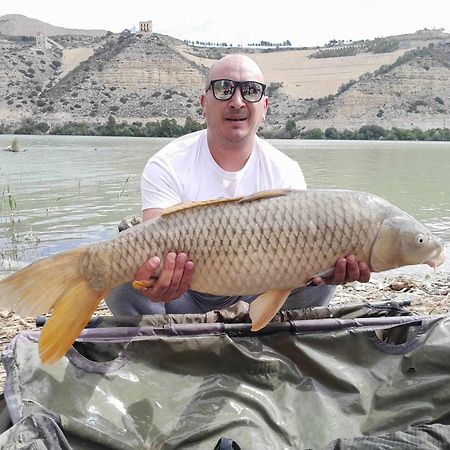 R U Ready Fishing, River Ebro Mequinenza Esterno foto