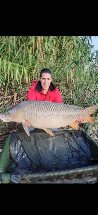 R U Ready Fishing, River Ebro Mequinenza Esterno foto