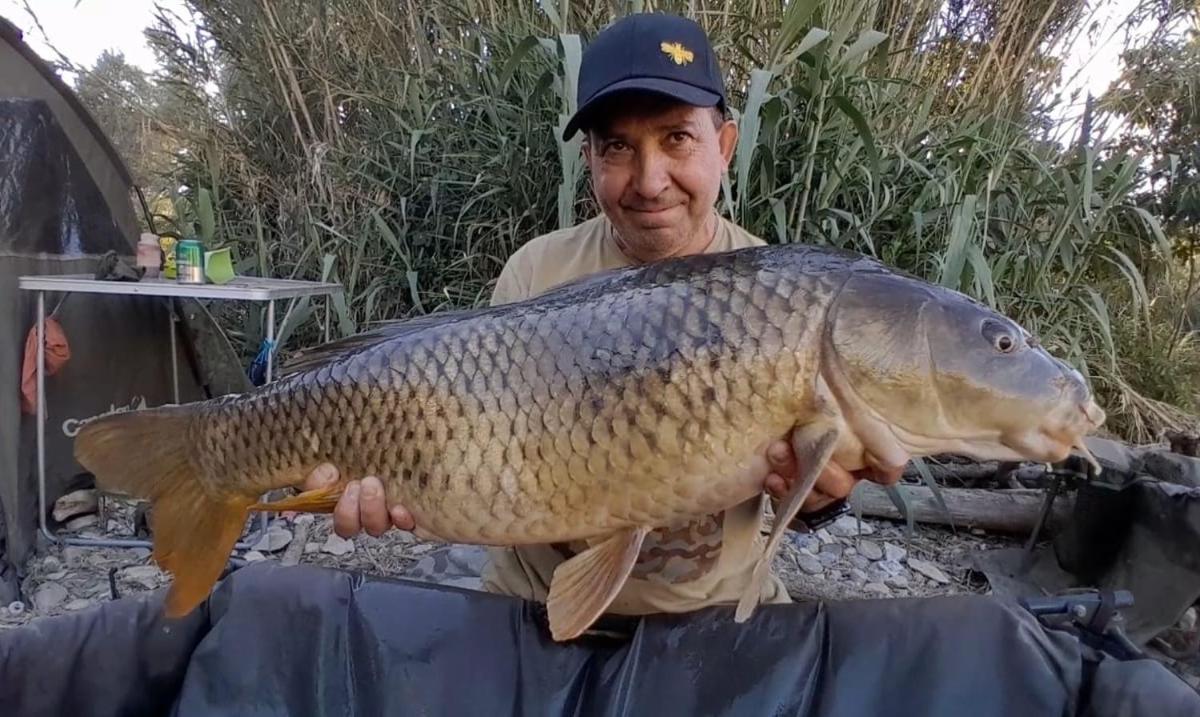 R U Ready Fishing, River Ebro Mequinenza Esterno foto